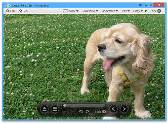 Image 0 for Honeyview