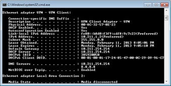 Image 0 for VPN Gate Client Plug-in w…