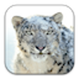 Icon of program: Apple Mac OS X Snow Leopa…