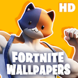 Icon of program: Wallpaper HD with Fortnit…