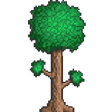 Icono de programa: Terraria