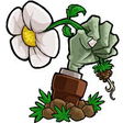 Icon of program: Plants vs Zombies